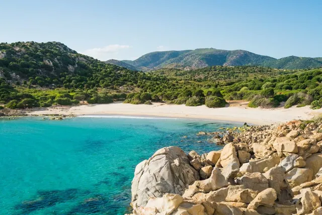 cala_cipolla_elisa_locci