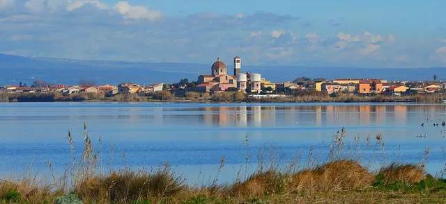 cabras_sardegna_italia