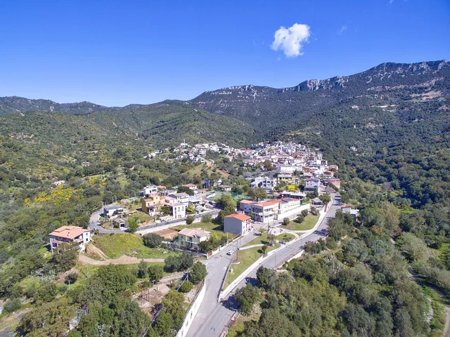 triei_ogliastra_sardegna