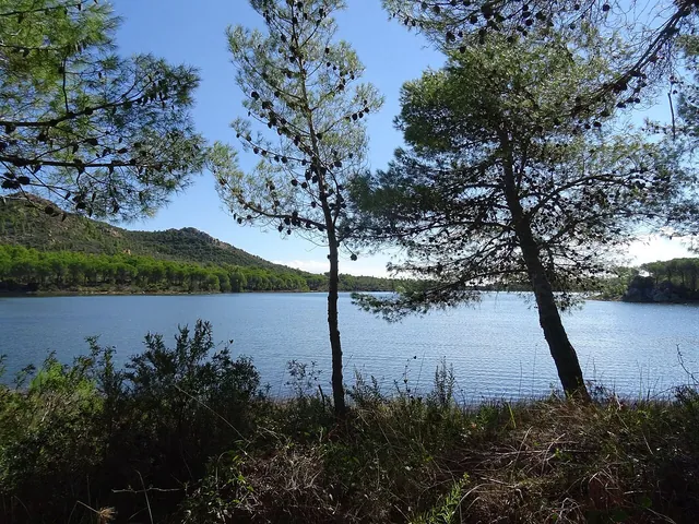 Stagno di Sa Curcurica nel territorio di Orosei