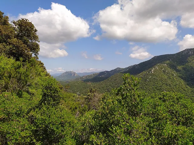 Foresta e rilievi del Parco Naturale Regionale di Tepilora