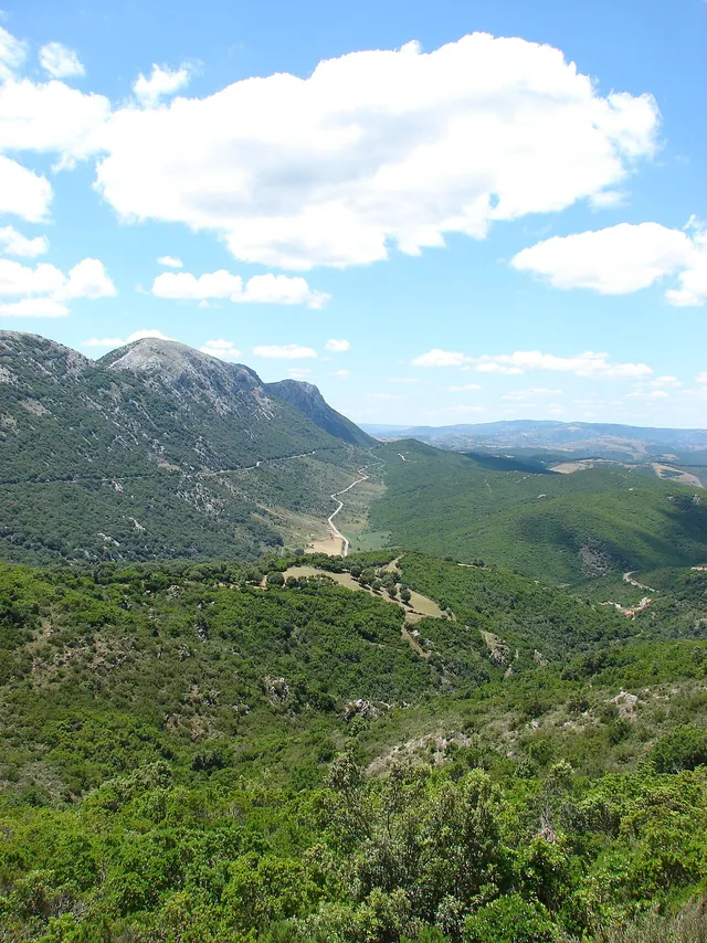 Paesaggio calcareo del Monte Albo nella Sardegna orientale