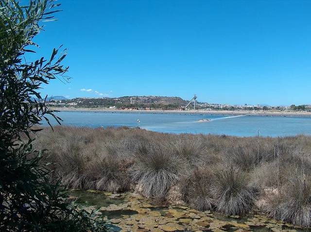 Saline e zona umida del Parco di Molentargius a Cagliari