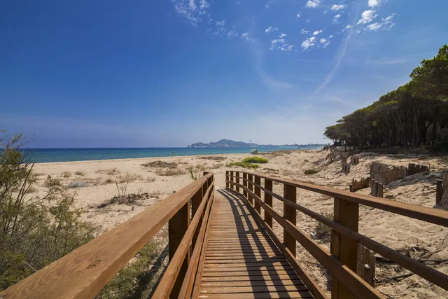 girasole_ogliastra_sardegna