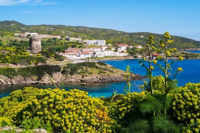 asinara_elisa_locci